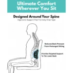 Zavren Inflatable Lumbar support pillow